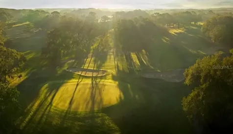 1606 Sandhill Court Palm Harbor FL 34684
