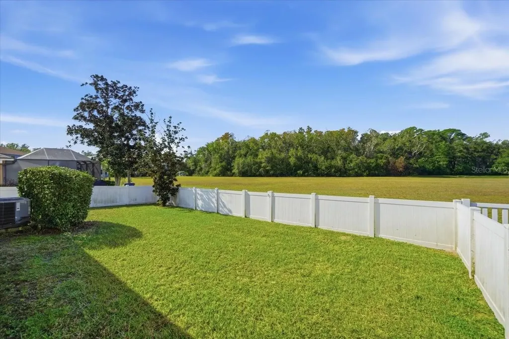 18425 Cypress Bay Parkway Land O Lakes FL 34638