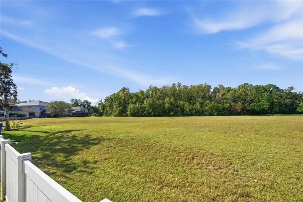18425 Cypress Bay Parkway Land O Lakes FL 34638