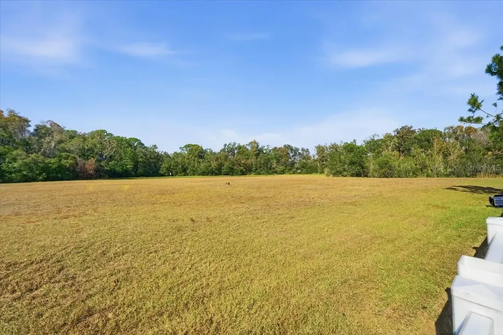 18425 Cypress Bay Parkway Land O Lakes FL 34638