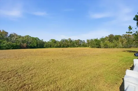 18425 Cypress Bay Parkway Land O Lakes FL 34638