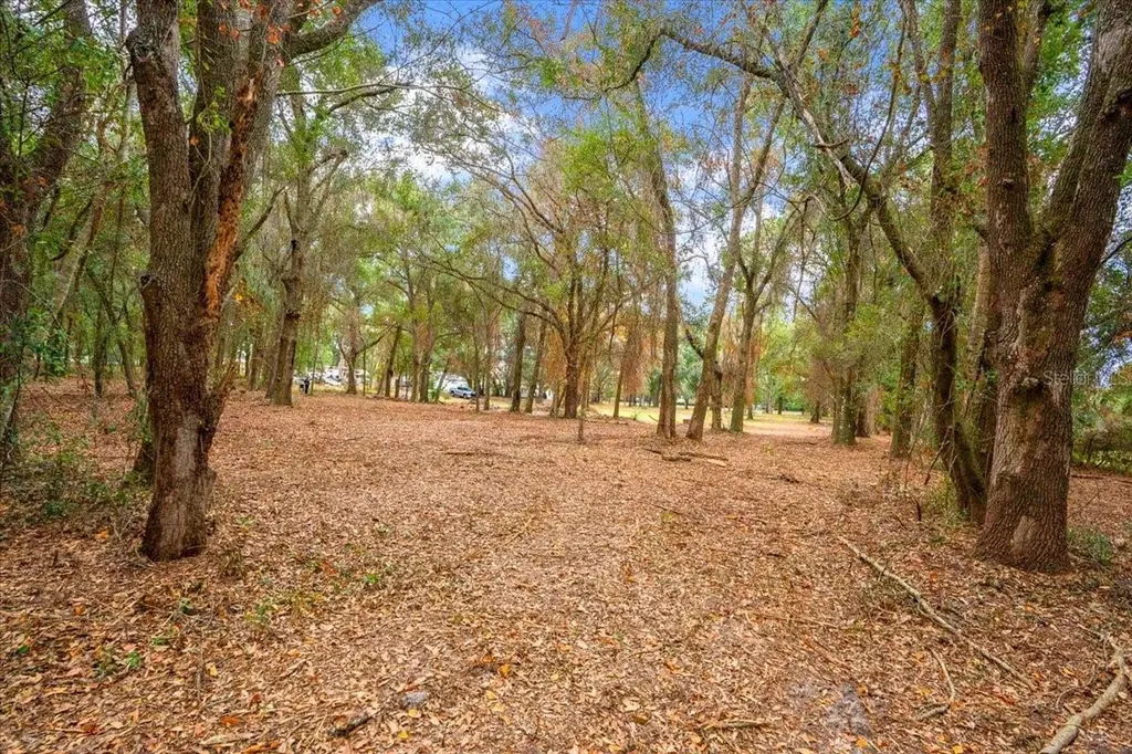 SE Highway 42 Summerfield Fl 34491 Summerfield FL 34491