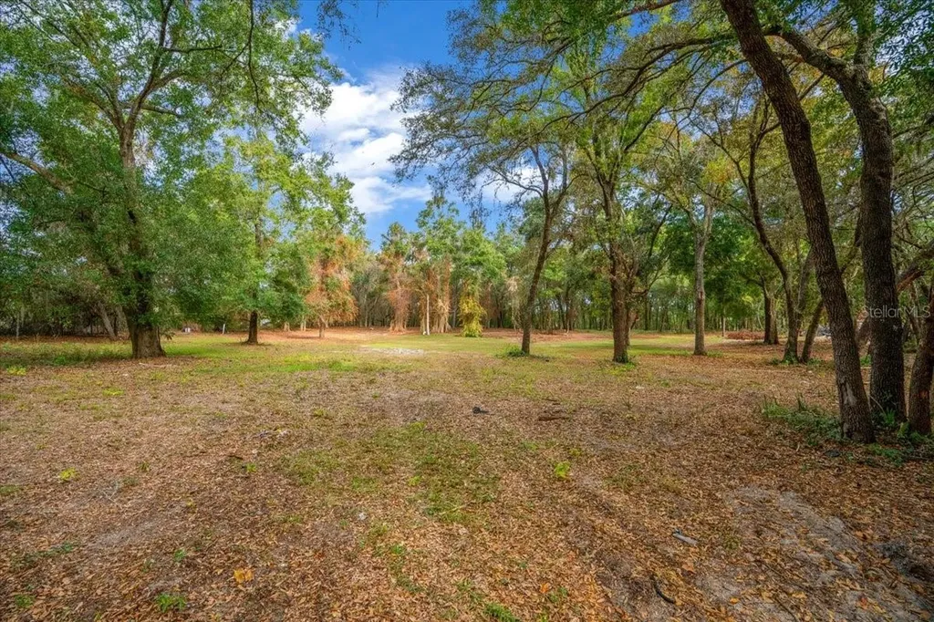 SE Highway 42 Summerfield Fl 34491 Summerfield FL 34491