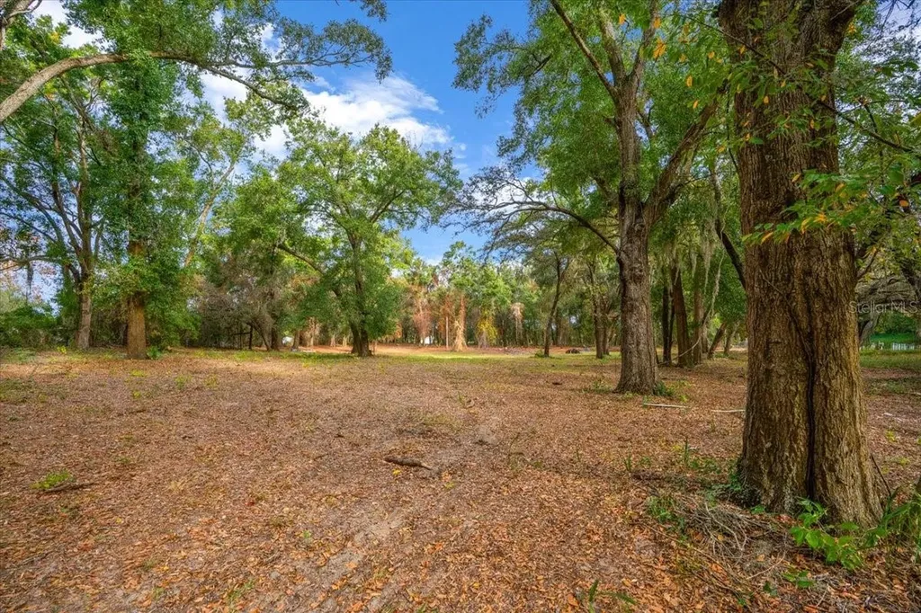 SE Highway 42 Summerfield Fl 34491 Summerfield FL 34491