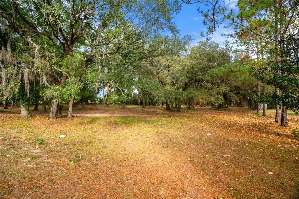SE Highway 42 Summerfield Fl 34491 Summerfield FL 34491