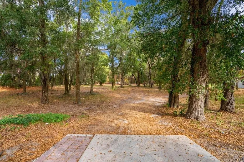 SE Highway 42 Summerfield Fl 34491 Summerfield FL 34491