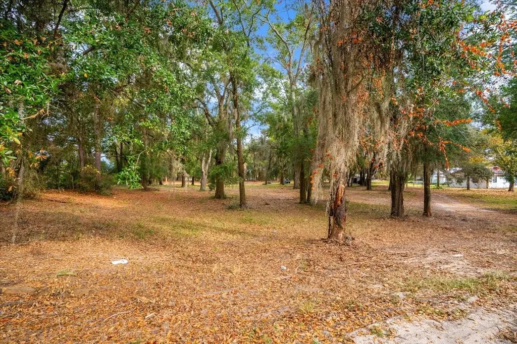 SE Highway 42 Summerfield Fl 34491 Summerfield FL 34491