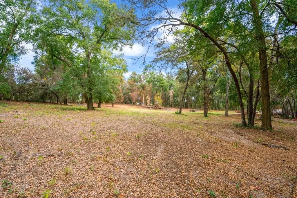 SE Highway 42 Summerfield Fl 34491 Summerfield FL 34491