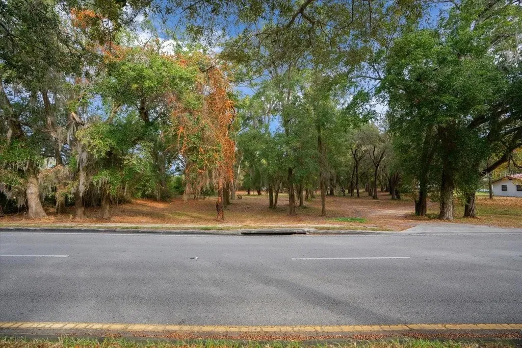 SE Highway 42 Summerfield Fl 34491 Summerfield FL 34491