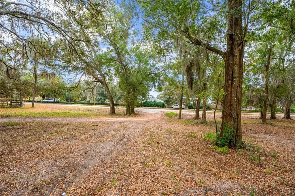 SE Highway 42 Summerfield Fl 34491 Summerfield FL 34491