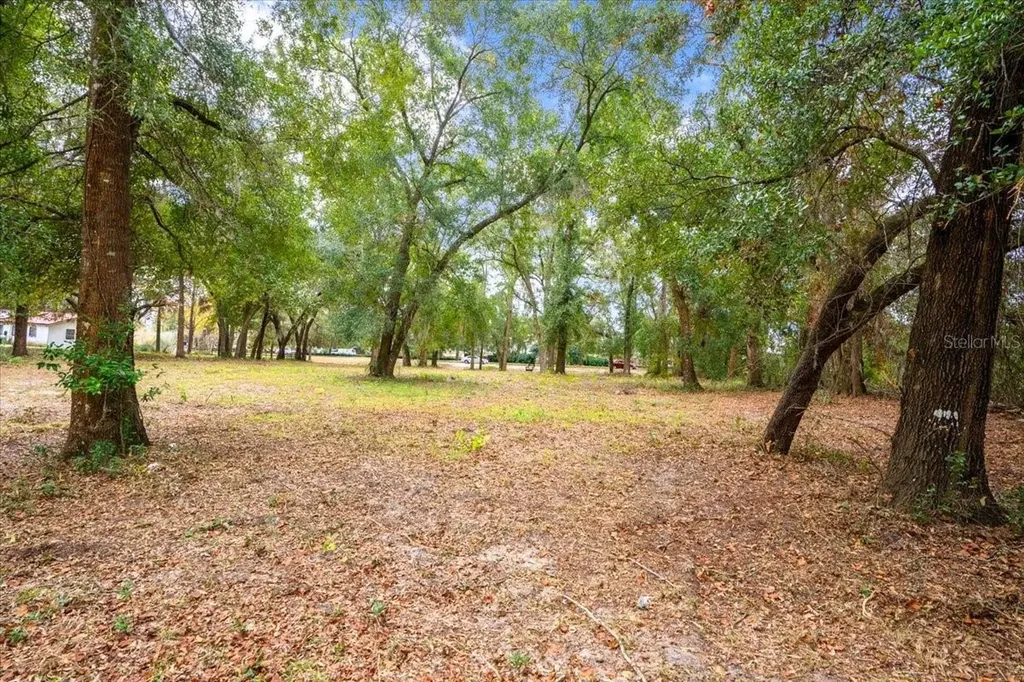 SE Highway 42 Summerfield Fl 34491 Summerfield FL 34491