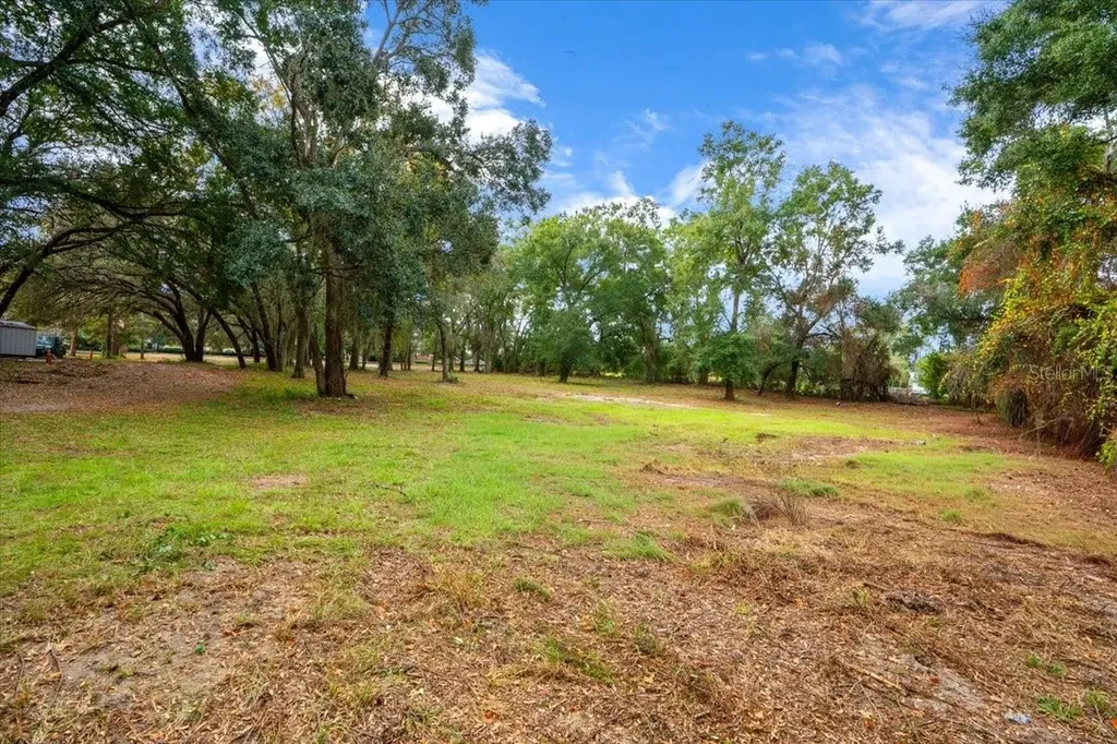 SE Highway 42 Summerfield Fl 34491 Summerfield FL 34491