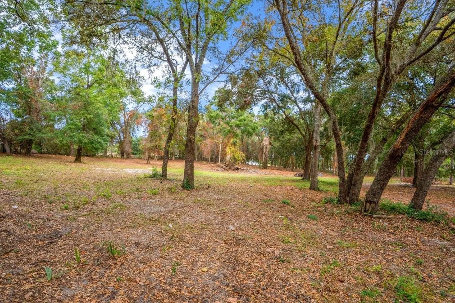 SE Highway 42 Summerfield Fl 34491 Summerfield FL 34491