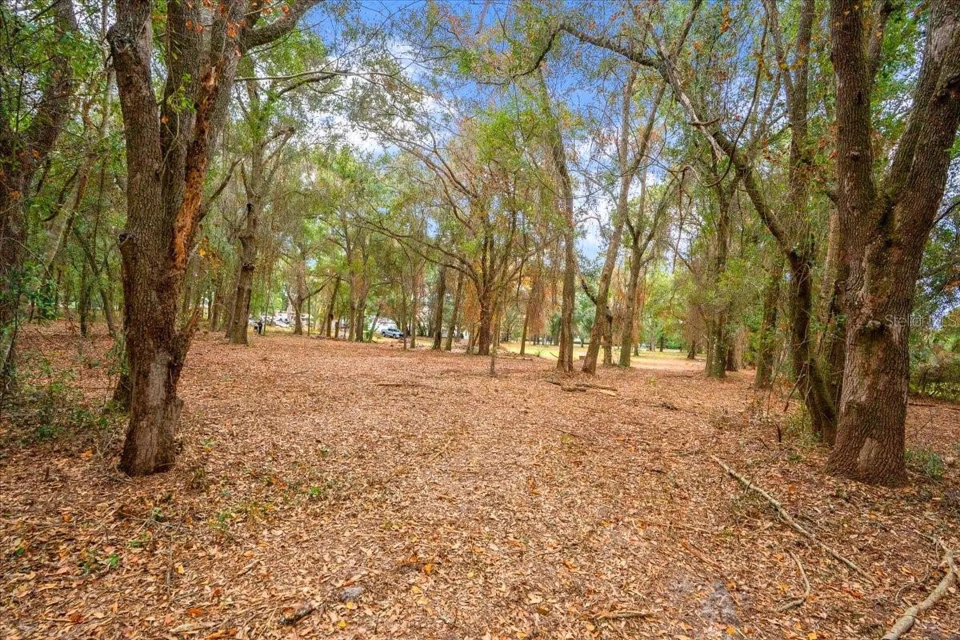 SE Highway 42 Summerfield Fl 34491 Summerfield FL 34491