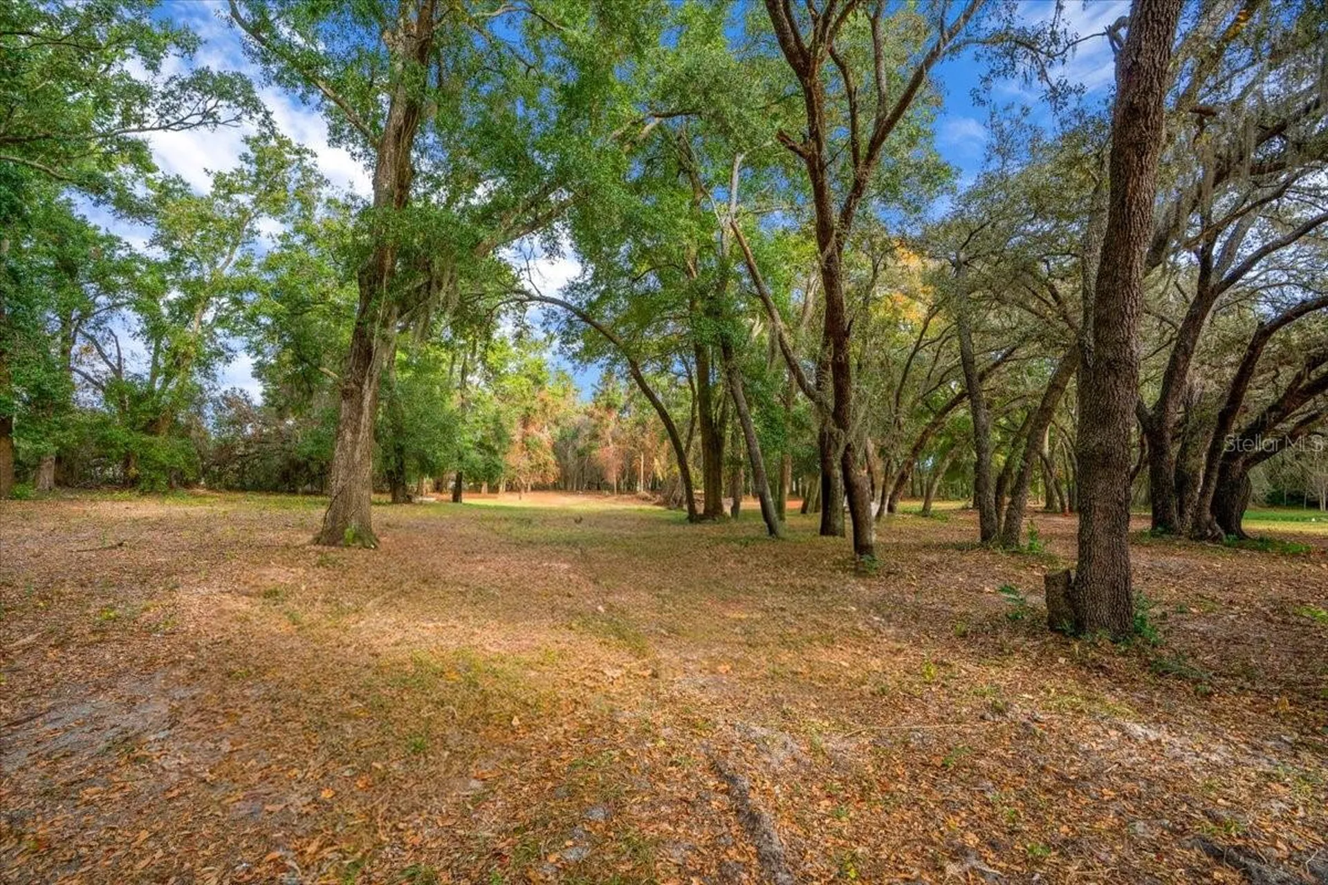 SE Highway 42 Summerfield Fl 34491 Summerfield FL 34491