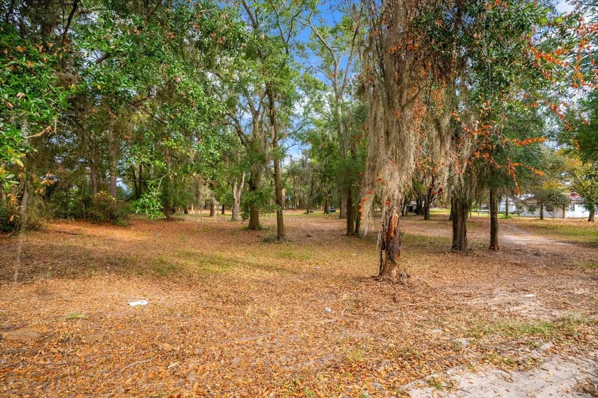 SE Highway 42 Summerfield Fl 34491 Summerfield FL 34491