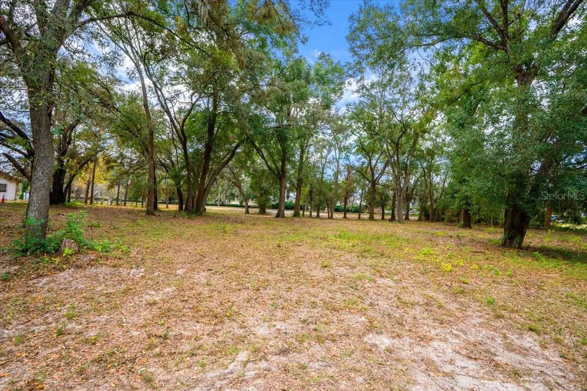 SE Highway 42 Summerfield Fl 34491 Summerfield FL 34491