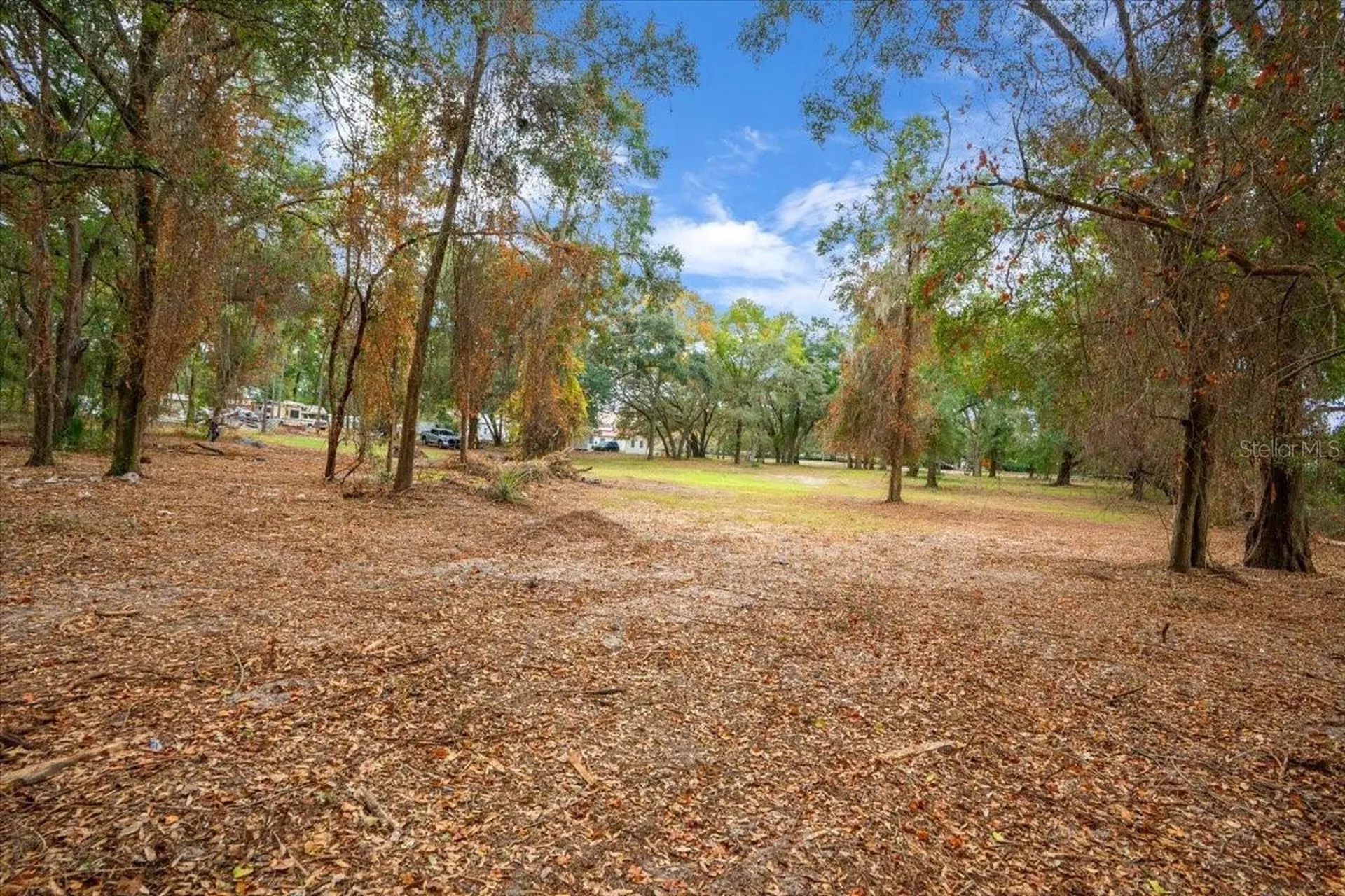 SE Highway 42 Summerfield Fl 34491 Summerfield FL 34491