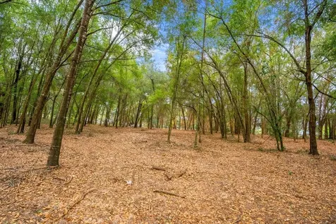 SE Highway 42 Summerfield Fl 34491 Summerfield FL 34491