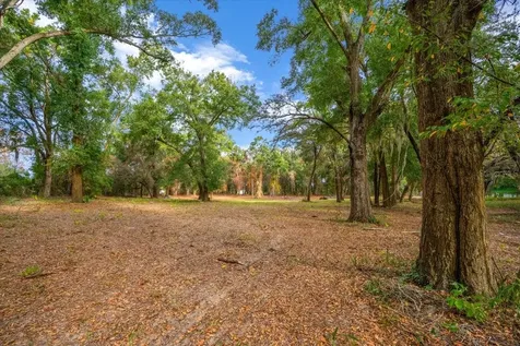 SE Highway 42 Summerfield Fl 34491 Summerfield FL 34491
