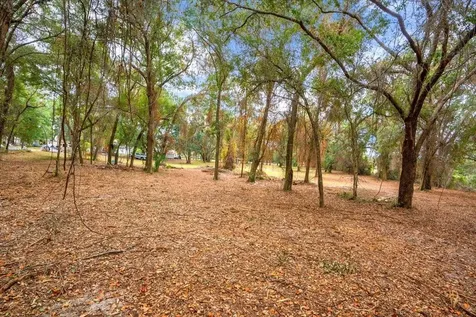 SE Highway 42 Summerfield Fl 34491 Summerfield FL 34491