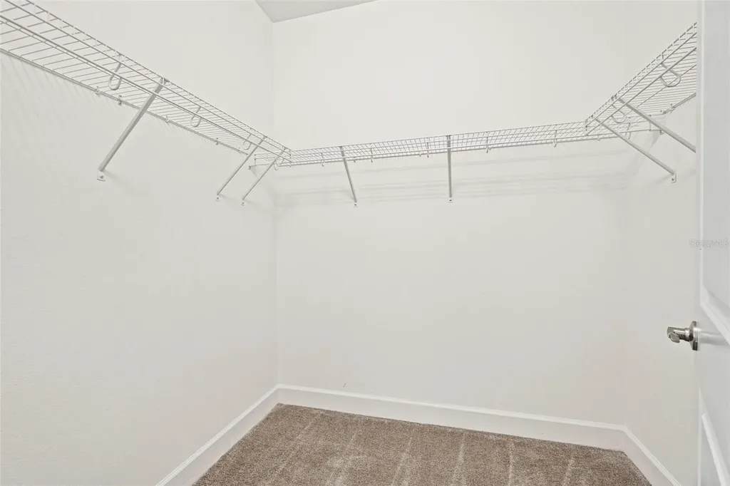 32208 Rosewood Meadow Lane Wesley Chapel FL 33543