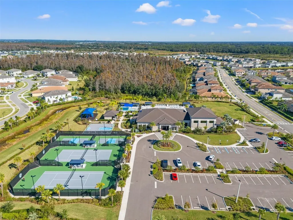 32208 Rosewood Meadow Lane Wesley Chapel FL 33543