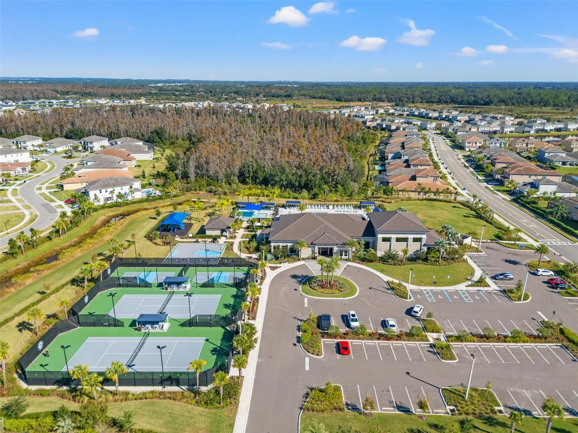32208 Rosewood Meadow Lane Wesley Chapel FL 33543