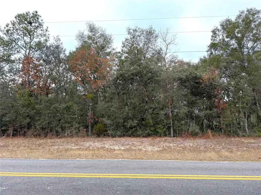 0 NE 137th Terrace Williston FL 32696