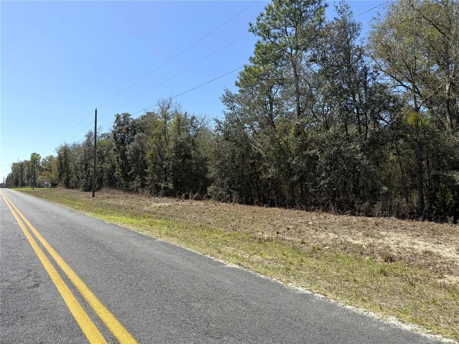 0 NE 137th Terrace Williston FL 32696
