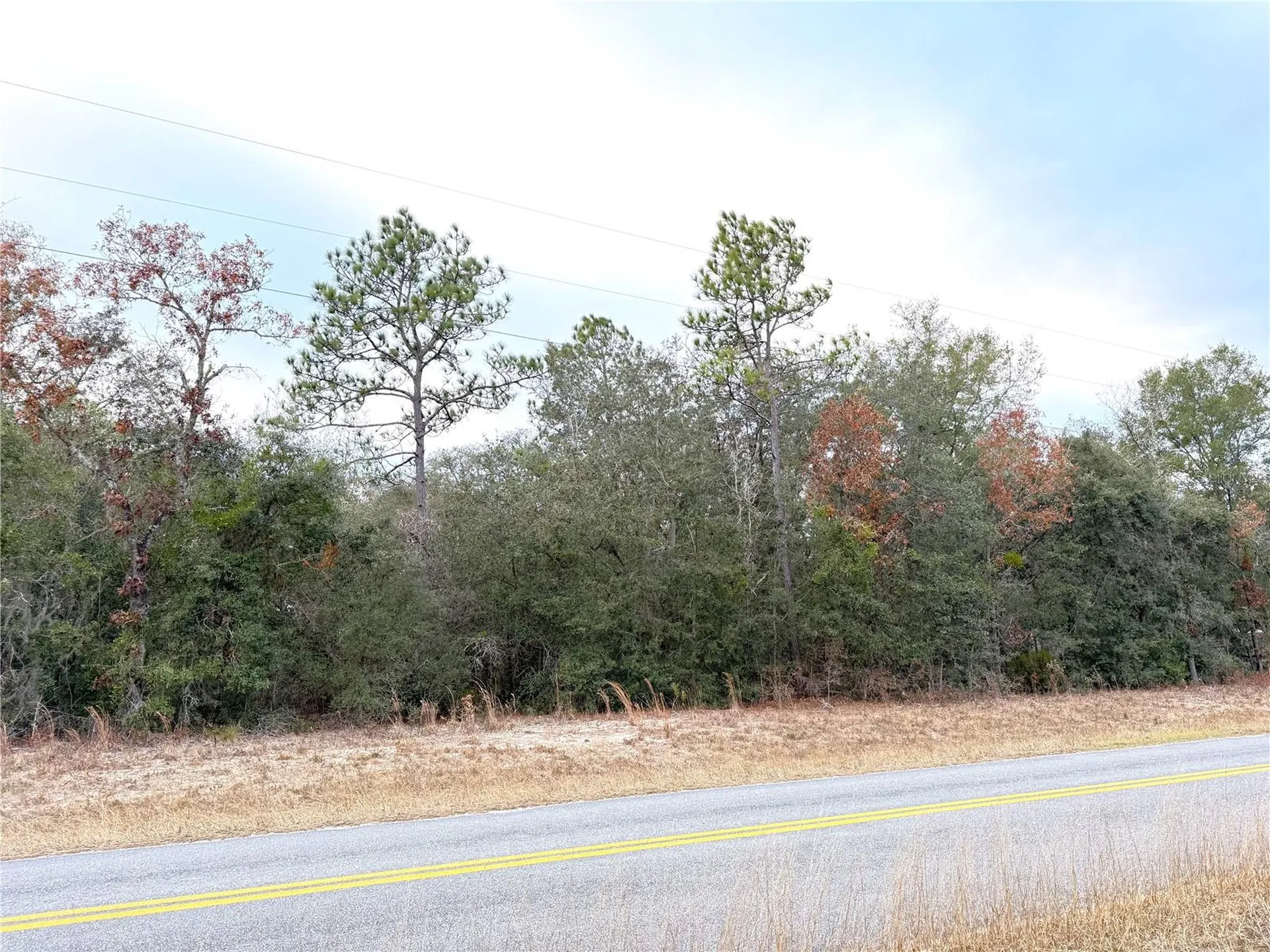 0 NE 137th Terrace Williston FL 32696