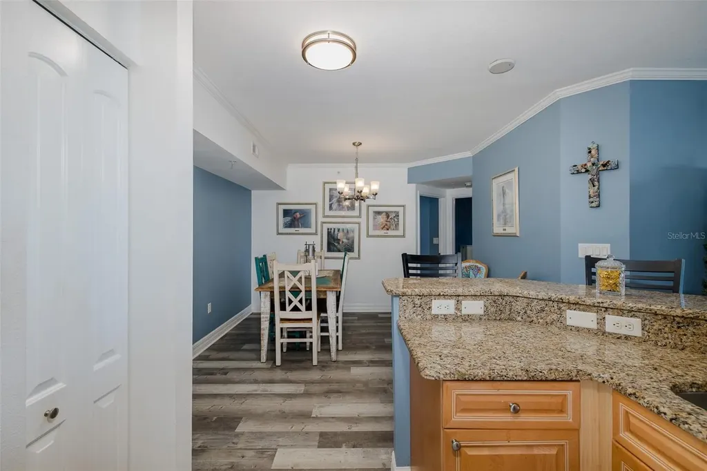 4516 Seagull Drive New Port Richey FL 34652