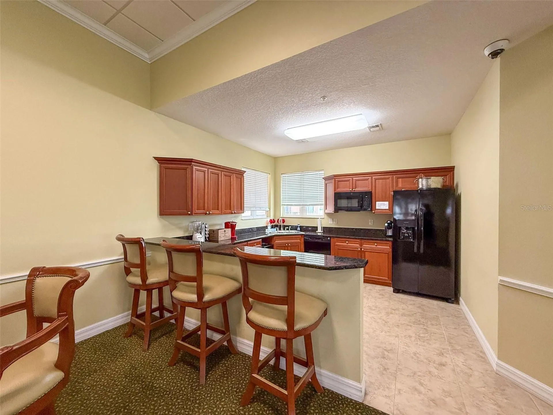 4516 Seagull Drive New Port Richey FL 34652