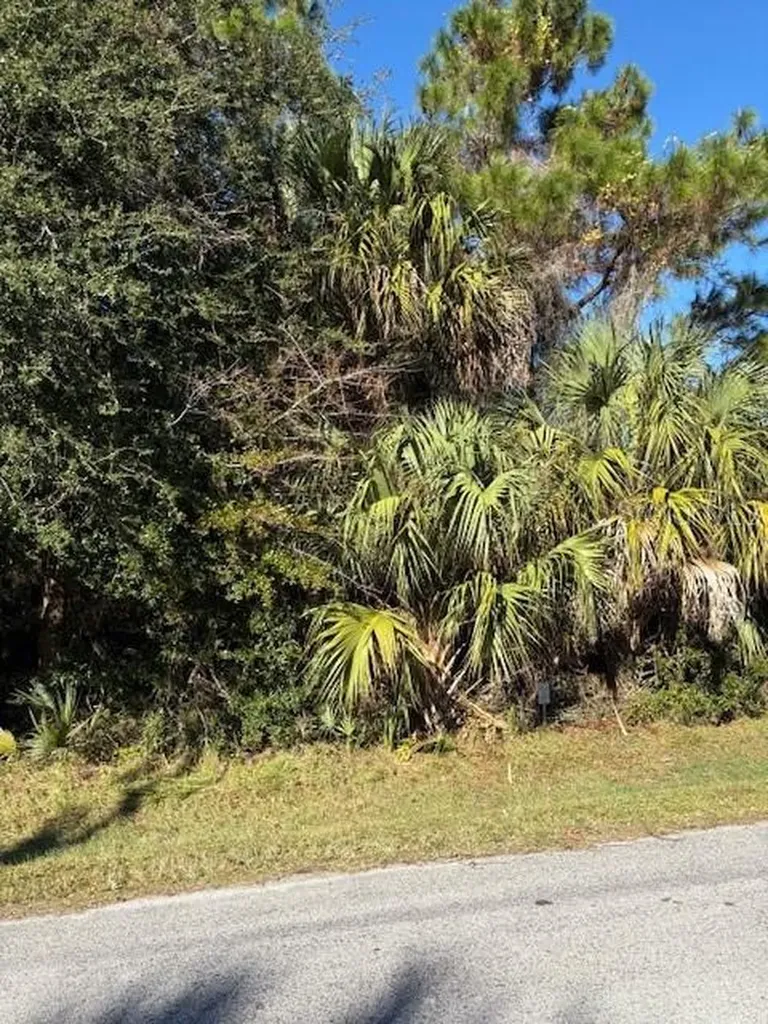 8 Bill Court Palm Coast FL 32137