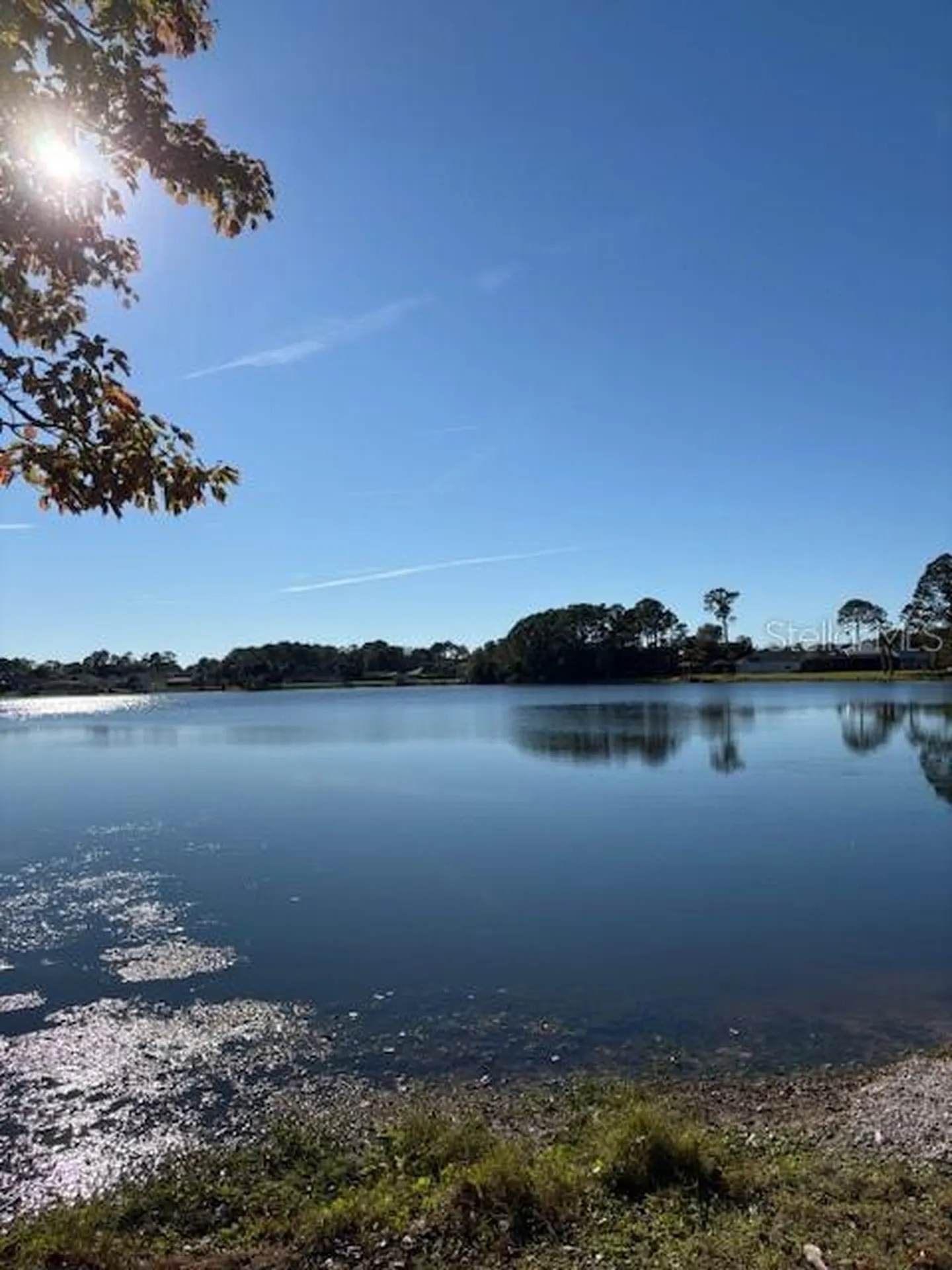 8 Bill Court Palm Coast FL 32137