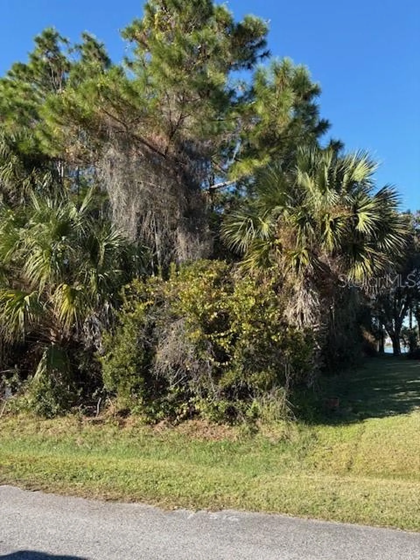 8 Bill Court Palm Coast FL 32137