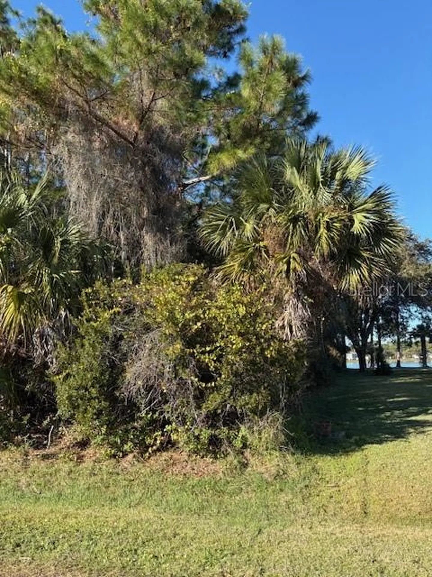 8 Bill Court Palm Coast FL 32137