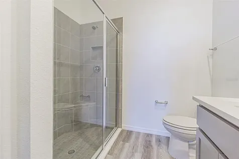 31423 Paper Birch Street Wesley Chapel FL 33545