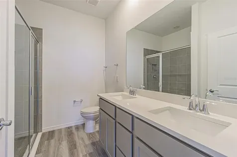 31423 Paper Birch Street Wesley Chapel FL 33545