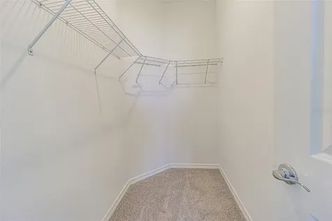 31423 Paper Birch Street Wesley Chapel FL 33545