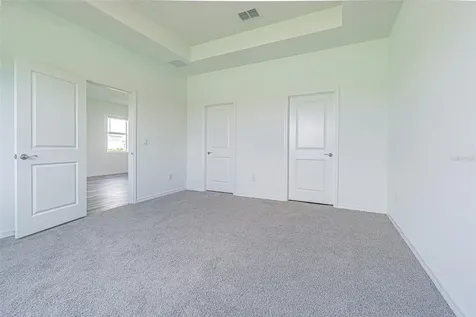 31423 Paper Birch Street Wesley Chapel FL 33545