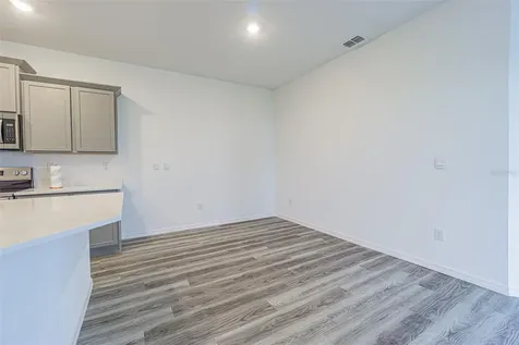 31423 Paper Birch Street Wesley Chapel FL 33545