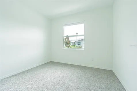 31423 Paper Birch Street Wesley Chapel FL 33545