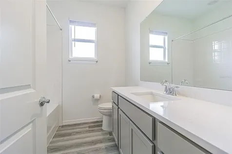 31423 Paper Birch Street Wesley Chapel FL 33545