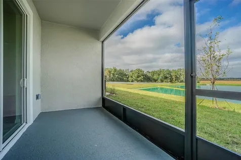 31423 Paper Birch Street Wesley Chapel FL 33545