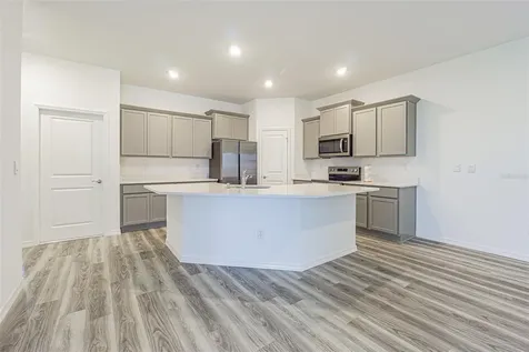 31423 Paper Birch Street Wesley Chapel FL 33545