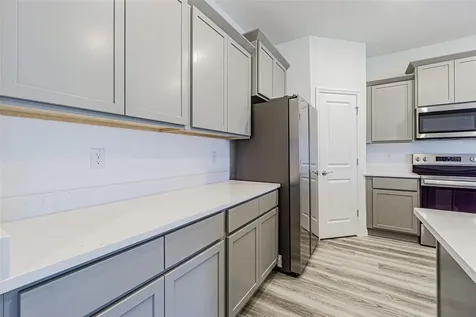 31423 Paper Birch Street Wesley Chapel FL 33545