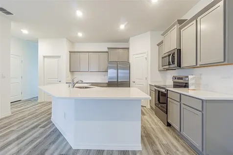 31423 Paper Birch Street Wesley Chapel FL 33545