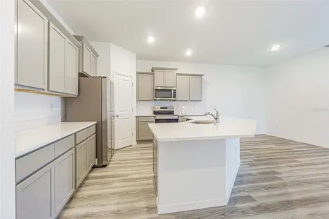 31423 Paper Birch Street Wesley Chapel FL 33545