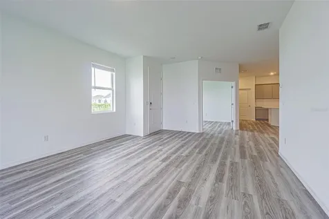 31423 Paper Birch Street Wesley Chapel FL 33545